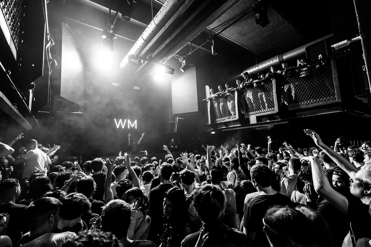 DJ performing to a crowd at a nightclub